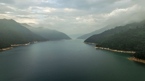 重金属污染治理